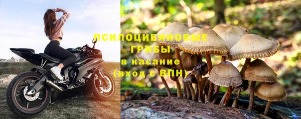 ALPHA PVP Надым