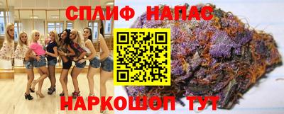 молекула духа Гагарин