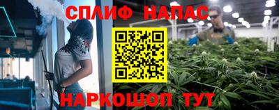 герыч Гатчина