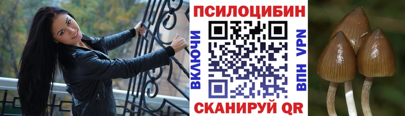 Галлюциногенные грибы MAGIC MUSHROOMS  Серов 