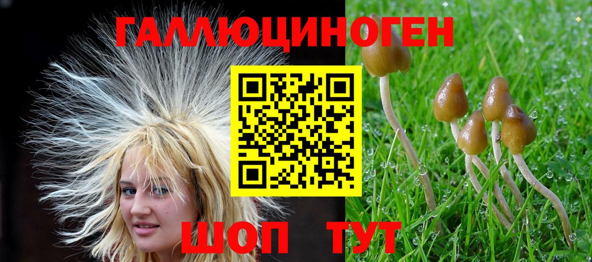 Псилоцибиновые грибы MAGIC MUSHROOMS Серов