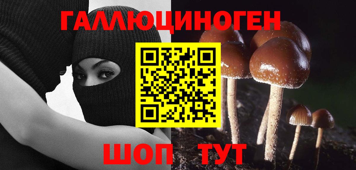 Галлюциногенные грибы Magic Shrooms  Вход с VPN  купить   Серов  Псилоцибиновые грибы прущие грибы 